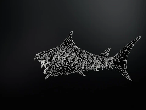 Shark7 3D Model