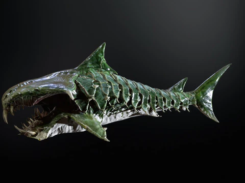 Shark7 3D Model