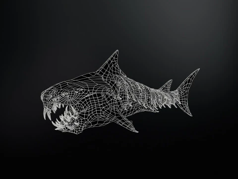 Shark7 3D Model