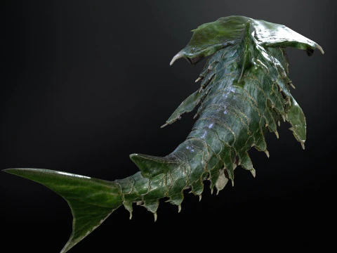 Shark7 3D Model