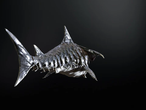 Shark7 3D Model