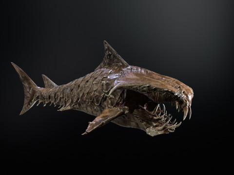 Shark7 3Dモデル