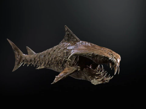 Shark7 3D Model