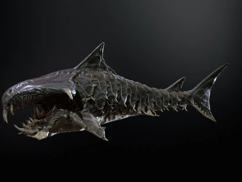 Shark7 3D Model