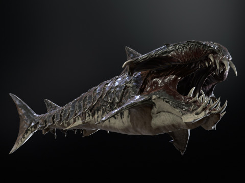 Shark7 3Dモデル