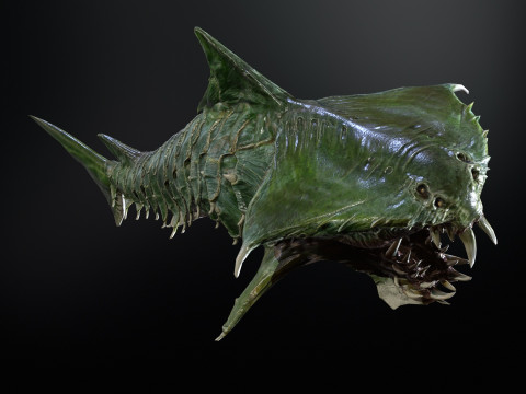 Shark7 3Dモデル