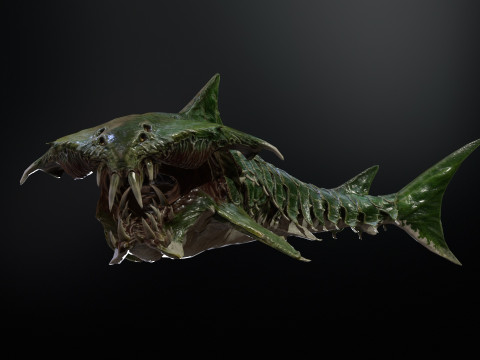 Shark7 3Dモデル