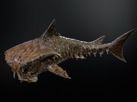 Shark7 3Dモデル