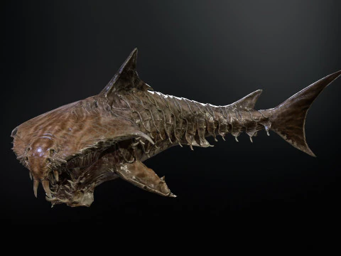 Shark7 3D Model