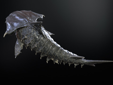 Shark7 3Dモデル