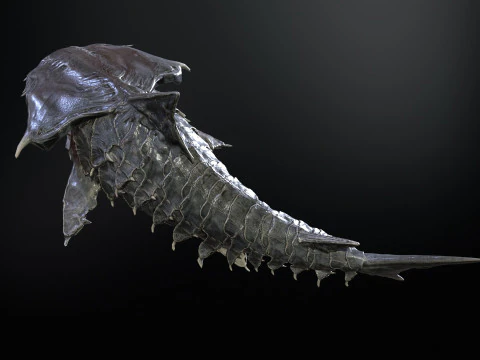 Shark7 3D Model