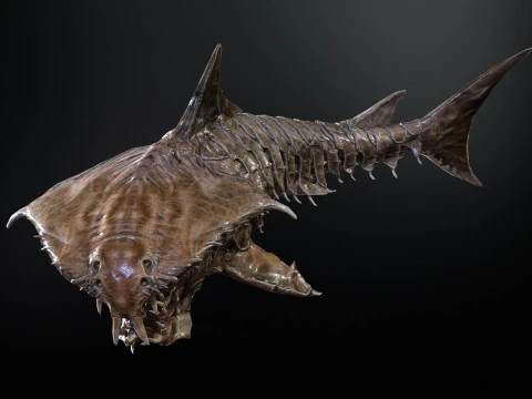 Shark7 3D Model