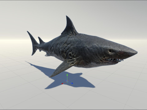 Shark3 Modelo 3D