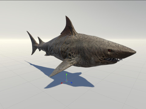 Shark3 3D 모델