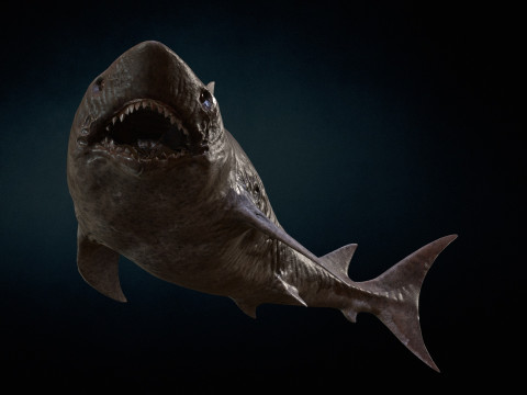Shark3 3D 모델