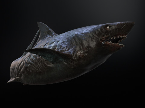 Shark3 3D 모델