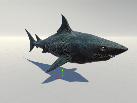 Shark3 3D 모델