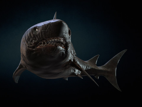 Shark3 3D 모델