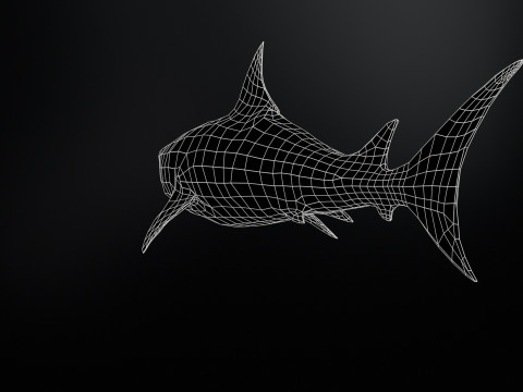 Shark3 3D 모델