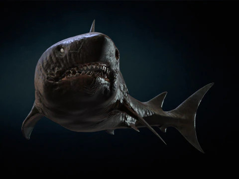 Squalo3 Modello 3D