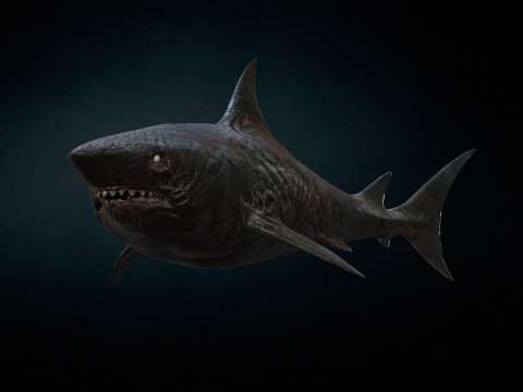 Shark3 3D 모델