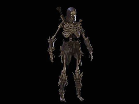 Skeleton5 3D Model