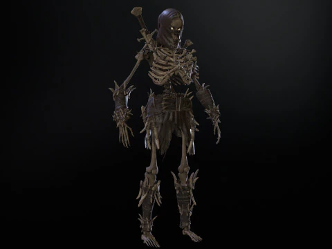 Skeleton5 3D Model