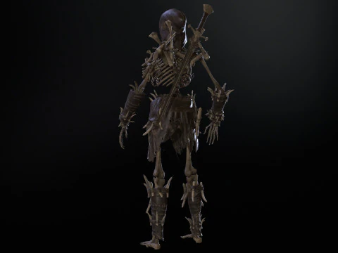 Skeleton5 3D Model