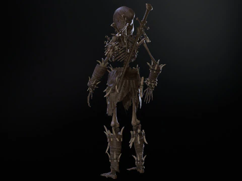 Skeleton5 3D Model