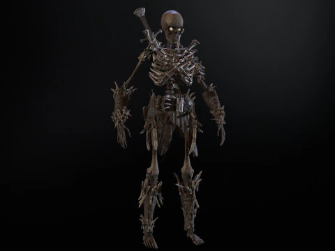Skeleton5 3D Model