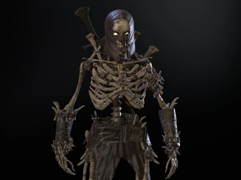 Skeleton5 3D Model