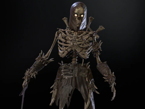 Skeleton5 3D Model