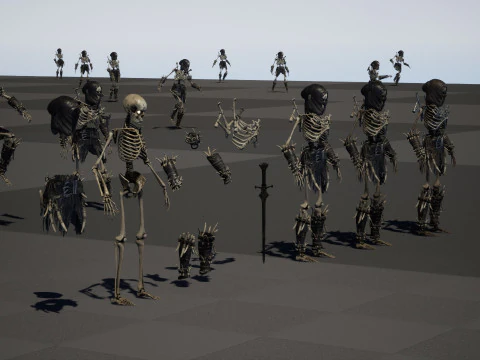 Skeleton5 3D Model