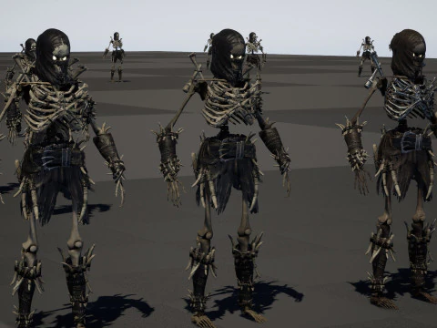 Skeleton5 3D Model