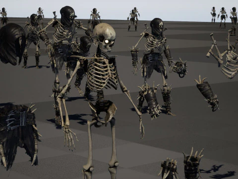 Skeleton5 3D Model