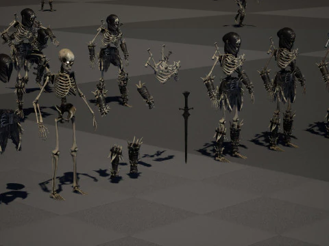 Skeleton5 3D Model