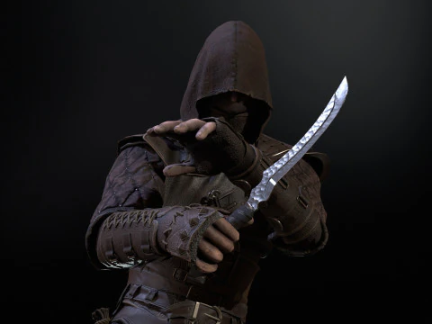 Thief 3D Model