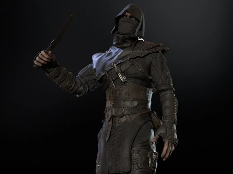 Thief 3D Model