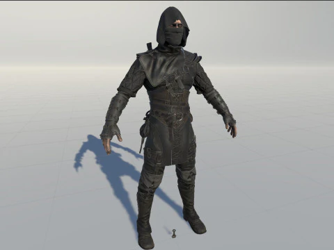 Thief 3D Model