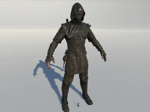 Thief 3D Model