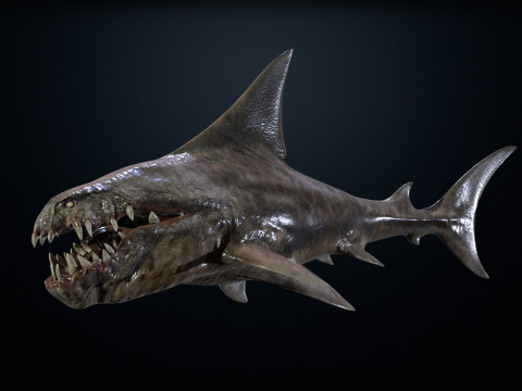 Shark2 Model 3D