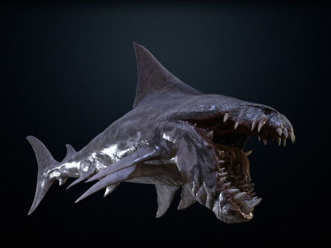Shark2 3Dモデル