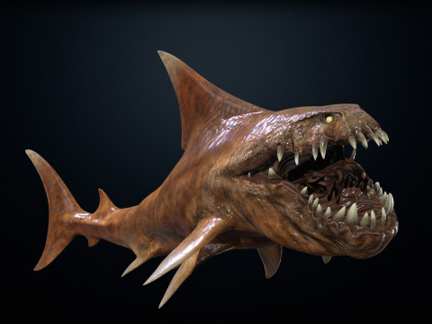 Shark2 3Dモデル
