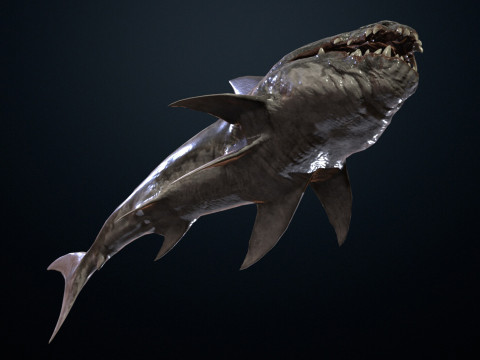 Shark2 3Dモデル