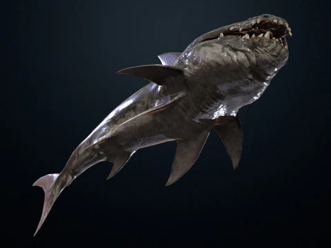 Shark2 3D Model