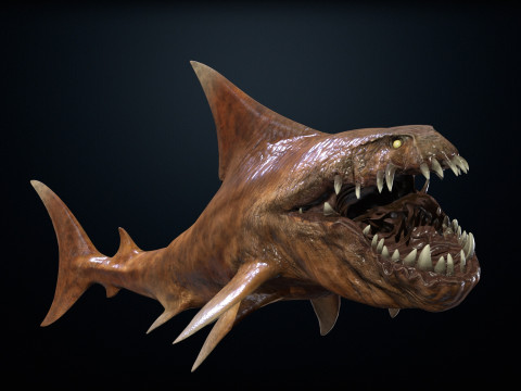 Shark2 3Dモデル