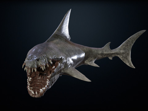 Shark2 3Dモデル