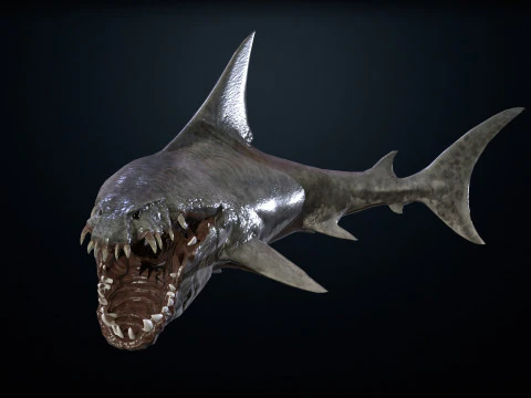 Shark2 3D Model