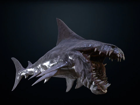 Shark2 3D Model