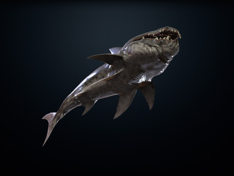 Shark2 3Dモデル